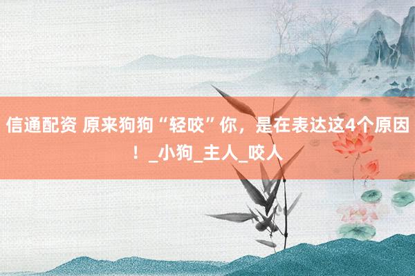 信通配资 原来狗狗“轻咬”你，是在表达这4个原因！_小狗_主人_咬人
