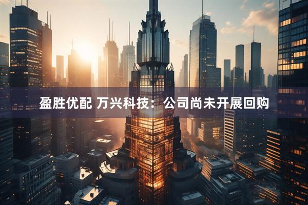 盈胜优配 万兴科技：公司尚未开展回购