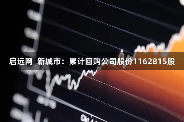 启远网  新城市：累计回购公司股份1162815股