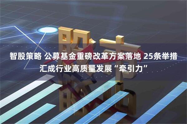 智股策略 公募基金重磅改革方案落地 25条举措汇成行业高质量发展“牵引力”