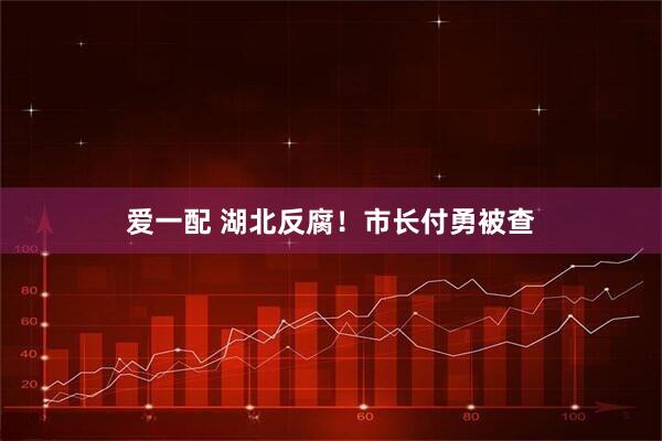 爱一配 湖北反腐！市长付勇被查