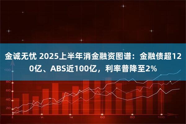 金诚无忧 2025上半年消金融资图谱：金融债超120亿、ABS近100亿，利率普降至2%