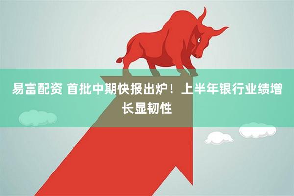 易富配资 首批中期快报出炉！上半年银行业绩增长显韧性