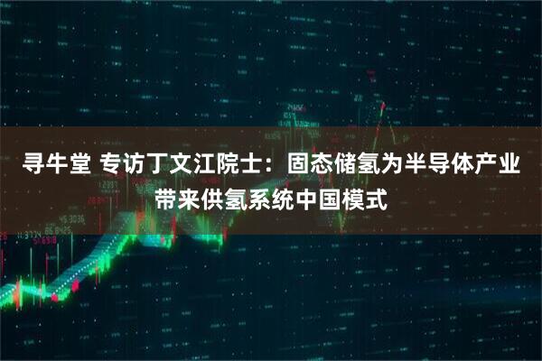 寻牛堂 专访丁文江院士：固态储氢为半导体产业带来供氢系统中国模式