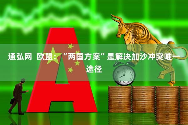 通弘网  欧盟：“两国方案”是解决加沙冲突唯一途径