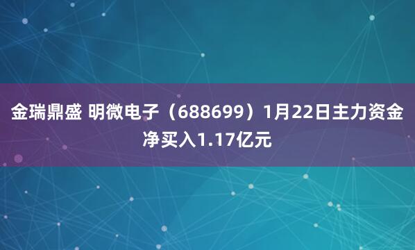 金瑞鼎盛 明微电子（688699）1月22日主力资金净买入1.17亿元